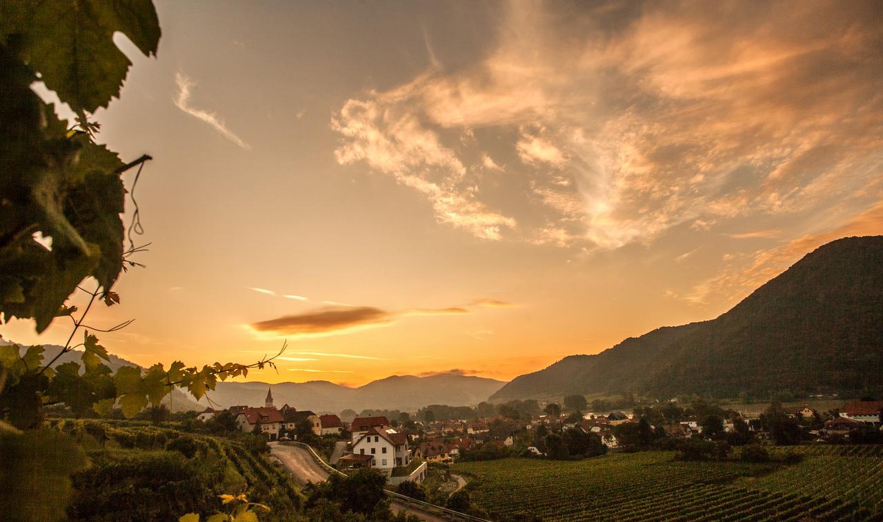 Hotel Garni Weinquadrat Weissenkirchen in der Wachau Exteriör bild